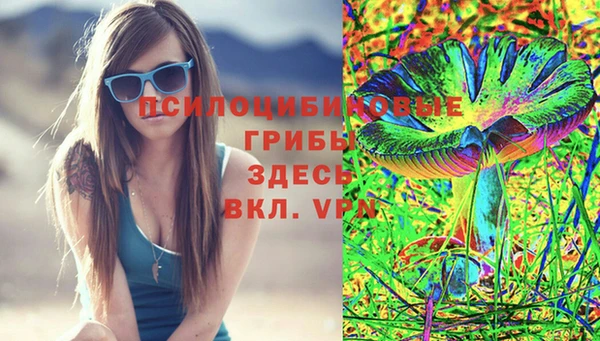 синтетический гашиш Ладушкин
